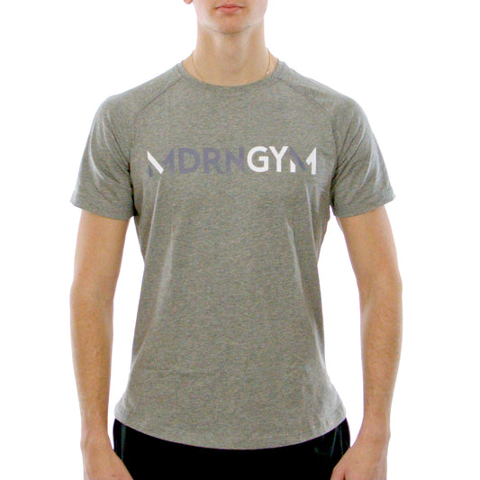 Gray T-Shirt